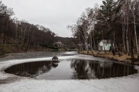 The residence "Mezhyhirya"