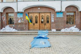 Прапори з символікою Партії Регіонів