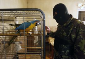 Ex-Prosecutor General Viktor Pshonka's estate near Kiev