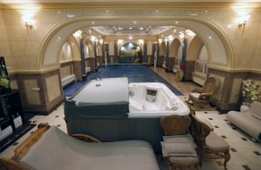 Ex-Prosecutor General Viktor Pshonka's estate near Kiev