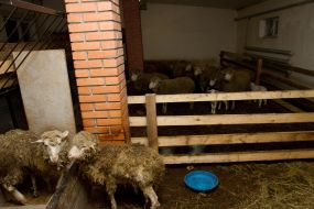 Country house of ex-Minister of Defence of Ukraine Pavel Lebedev