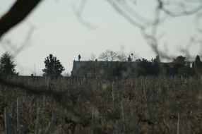 Неизвестные с оружием патрулируют территорию