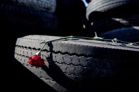 Carnation on the lid