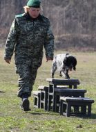 Кинолог с собакой