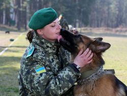 Кинолог с собакой