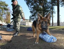 Кинолог с собакой