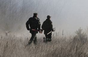 Studies of Ground forces