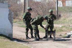 Неизвестные военнослужащие в камуфляже