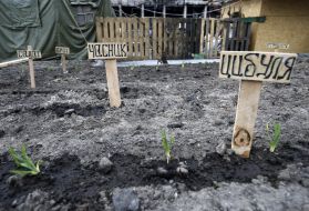 Огород на Майдане Незалежности в центре Киева