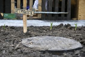 Огород на Майдане Незалежности в центре Киева