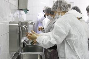 Employee of the company