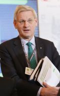 Carl Bildt