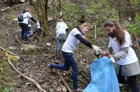 Толока во Львове