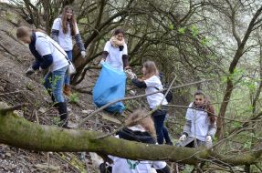 Толока во Львове