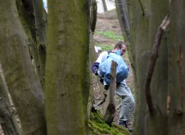 Толока во Львове