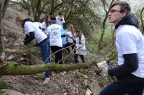 Толока во Львове