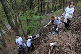 Толока во Львове