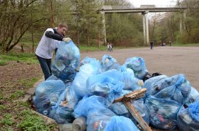 Толока во Львове
