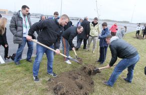 People planted trees