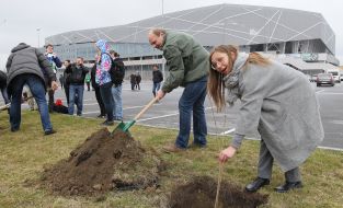 People planted trees