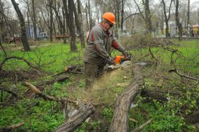 Учасники суботника