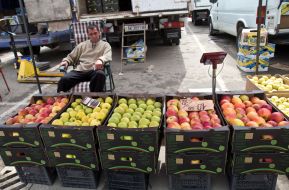 Wholesale market of the agricultural product