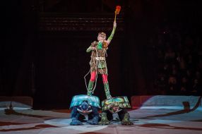Presentation of the new program of the National Circus of Ukraine "Bravo-bravushky"
