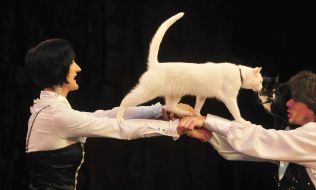 Presentation of the new program of the National Circus of Ukraine "Bravo-bravushky"