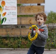 A boy holds a chaplet from dandelions