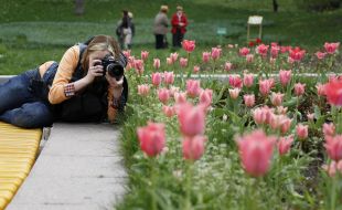 Exhibition of tulips