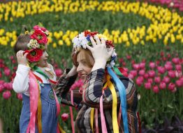 Exhibition of tulips