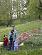 Exhibition of tulips