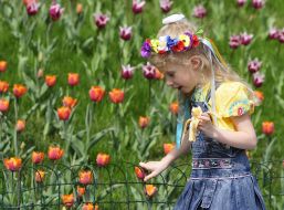 Exhibition of tulips