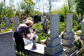 Woman puts flowers on the grave
