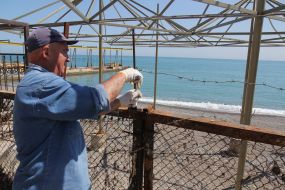 Woman relaxing on the beach