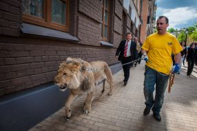 Nikolay Kobzov and Emanuele Farina