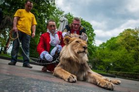 Trainer of Emanuele Farina with a lion