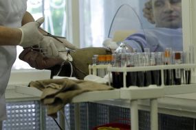 Виталий Кличко сдает кровь