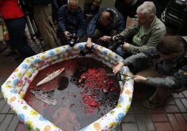Модели военных кораблей в бассейне с кровью