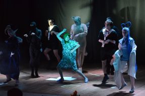 Participants of the festival cosplay "ANICON VI"