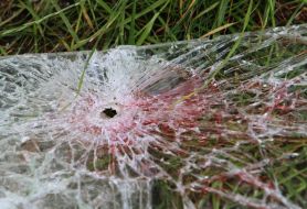 Shot through the windshield