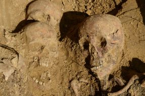 Remains transit prison inmates