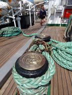 Парусное судно "Седов"