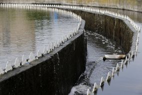 Bortnichi aeration station
