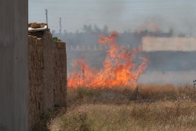 Burning dead wood in the steppe