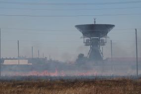 Burning dead wood in the steppe