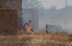 Burning dead wood in the steppe