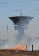 Burning dead wood in the steppe