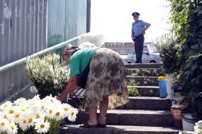 Sale of flowers in the Lesnoy market