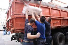 Shipment of humanitarian aid